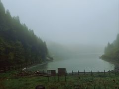 -武陵山森林公园