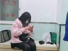 -宠福鑫康馨动物医院·骨科·眼科