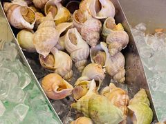 -富力希尔顿酒店·地阔自助餐厅