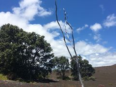 -夏威夷火山国家公园
