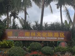 -呀诺达热带雨林