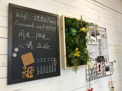 -文E范儿ZUMBA尊巴舞蹈