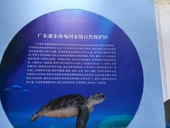 -广东惠东海龟国家级自然保护区