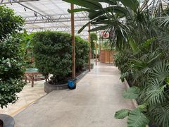 -平湖万怡酒店· 万荟轩
