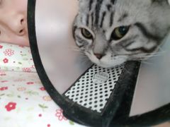 -北京恒爱动物医院(清景园分院)