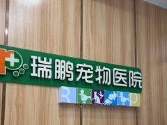 -瑞鹏宠物医院·夜间急症·心超·猫科(祖庙分店)