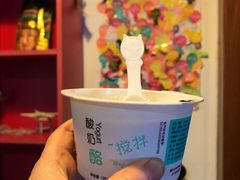 -狐狸家·酸奶酪专门店(平江路店)