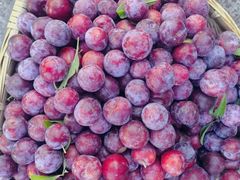 -乡土特色.冷锅鱼.牦牛肉汤锅