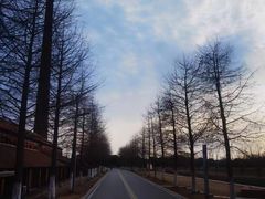 -祝甸砖窑文化馆