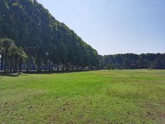 -河南省黄河迎宾馆