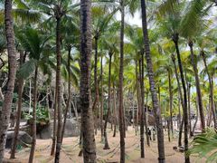 -海南分界洲岛旅游区