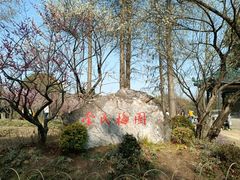 -无锡梅园公园
