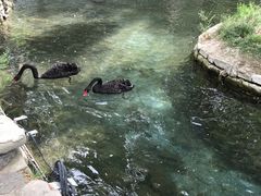 -水磨沟公园