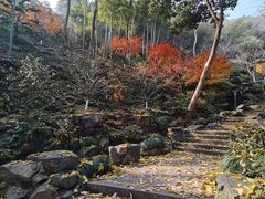 -灵隐飞来峰景区