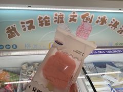 -武汉关码头(轮渡站)