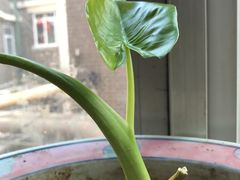 -19号私房菜(云南路店)