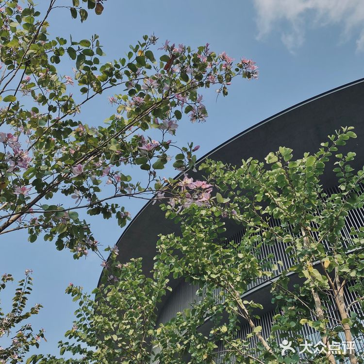 新晋打卡圣地｜顺德和美术馆（HEM）