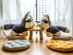 -Husky Go! 哈士奇体验馆·宠物咖啡厅狗咖