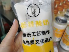-德禄酸奶(莫家街店)