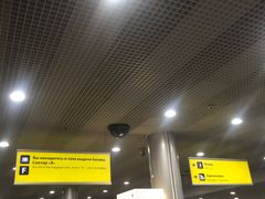 -谢列梅捷沃国际机场