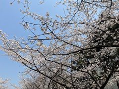 -鸡鸣寺