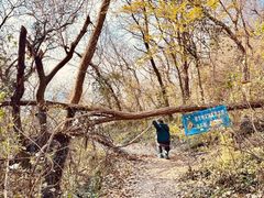 -南京市江宁方山