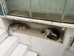 -小时光咖啡馆(北锣鼓巷店)