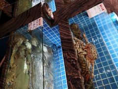-钱江大院(盐仓店)