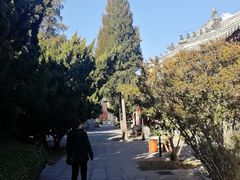 -大钟寺古钟博物馆