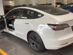 -TESLA 特斯拉(郑州正弘城体验店)