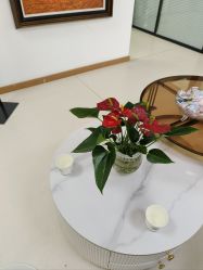 -薇兰专业脱毛连锁机构