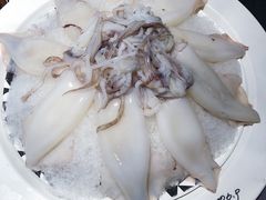 鲜鱿鱼-蜀九香火锅(九眼桥店)