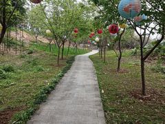 -福建鲤鱼洲酒店