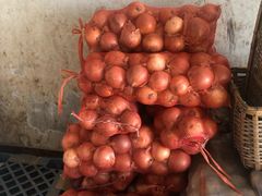 -北京新发地农产品批发市场-特菜交易厅