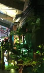 -恐龙探索乐园(磁器口店)