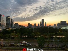 -东方体育中心(地铁站)