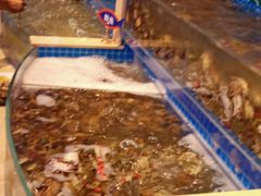 水产区-乔哥铭洋海鲜自助(皇城恒隆广场店)