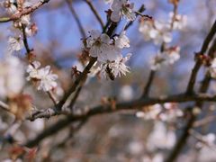 -广州市流溪河国家森林公园