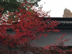 -西院1号(龙井店)