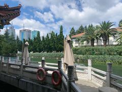 -福照楼汽锅鸡·云南菜(护国路店)