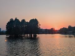 -东湖食堂·湖景餐厅•会议