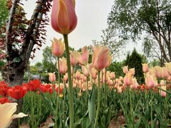 -廊坊文化艺术中心