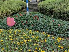 -重庆彩云湖湿地公园