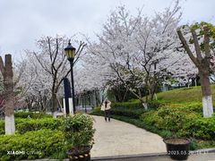 -博雅酒店-中餐厅