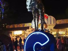 -广州长隆国际大马戏