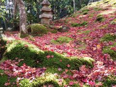 -常寂光寺