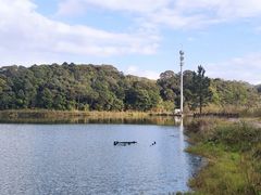 -海南热带雨林国家公园吊罗山景区