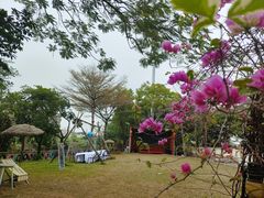 -陶缘一号·四季缘·老字号顺德菜·户外婚礼家宴(西滘店)