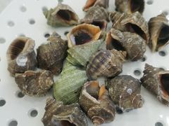 -必点蒸汽海鲜(止锚湾店)