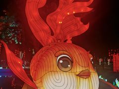 -琅岐红光湖公园